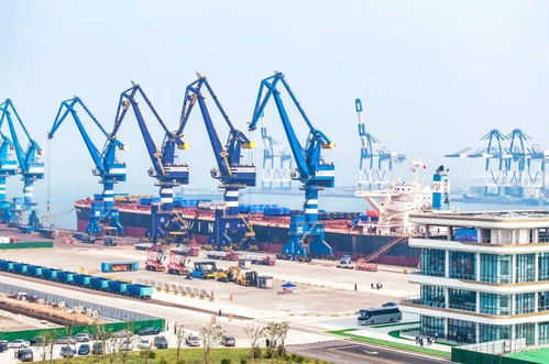 中国物流与采购联合会件杂货国际物流分会成立大会暨2025年件杂货国际物流发展大会在烟台举行