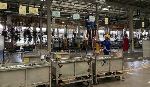 几百平的地,就这么多出来了