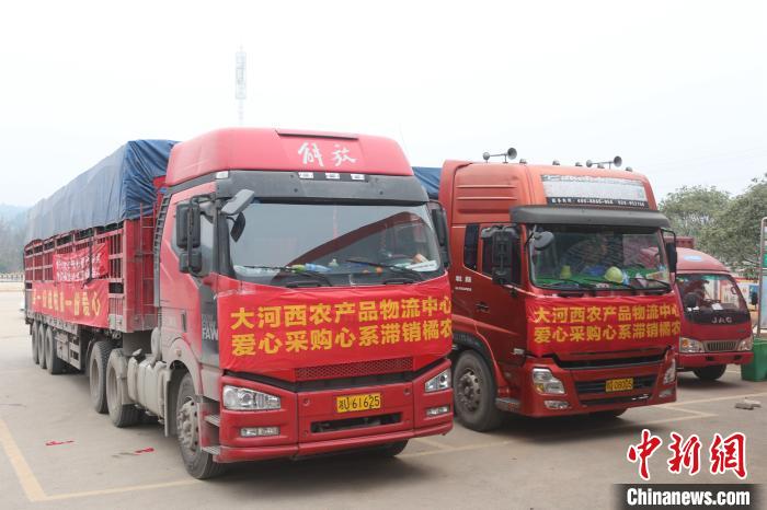 “80后”海归青年叶烽:让贫困户的农产品进入畅销“快车道”