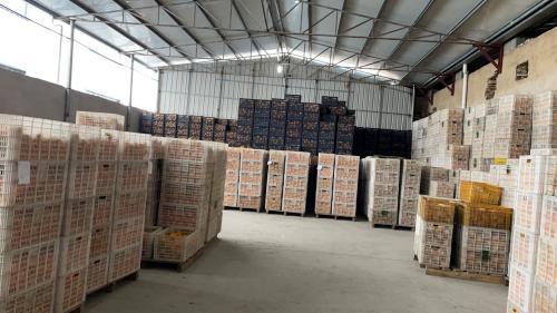 橙心优选牵手赣州市果业局 提速农产品源头直采计划