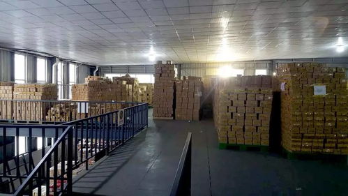 成都,多面的 双11