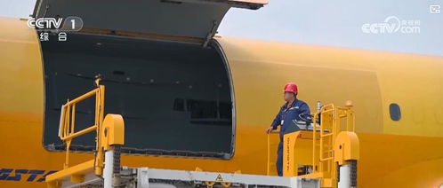 从物流到轻工 多领域经济数据展现中国产业协同增长新图景