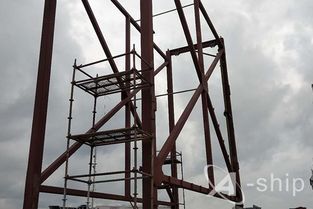 国内粮食运输费用