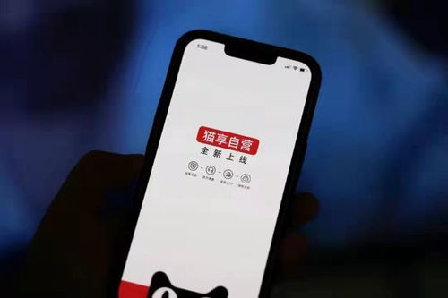 电商用户难长情 阿里京东唯品会深度布局自营,新赛道已浮现